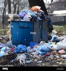 Best Recycling Services for Junk  in Edgefield, SC