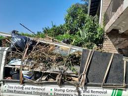 Best Retail Junk Removal  in Edgefield, SC